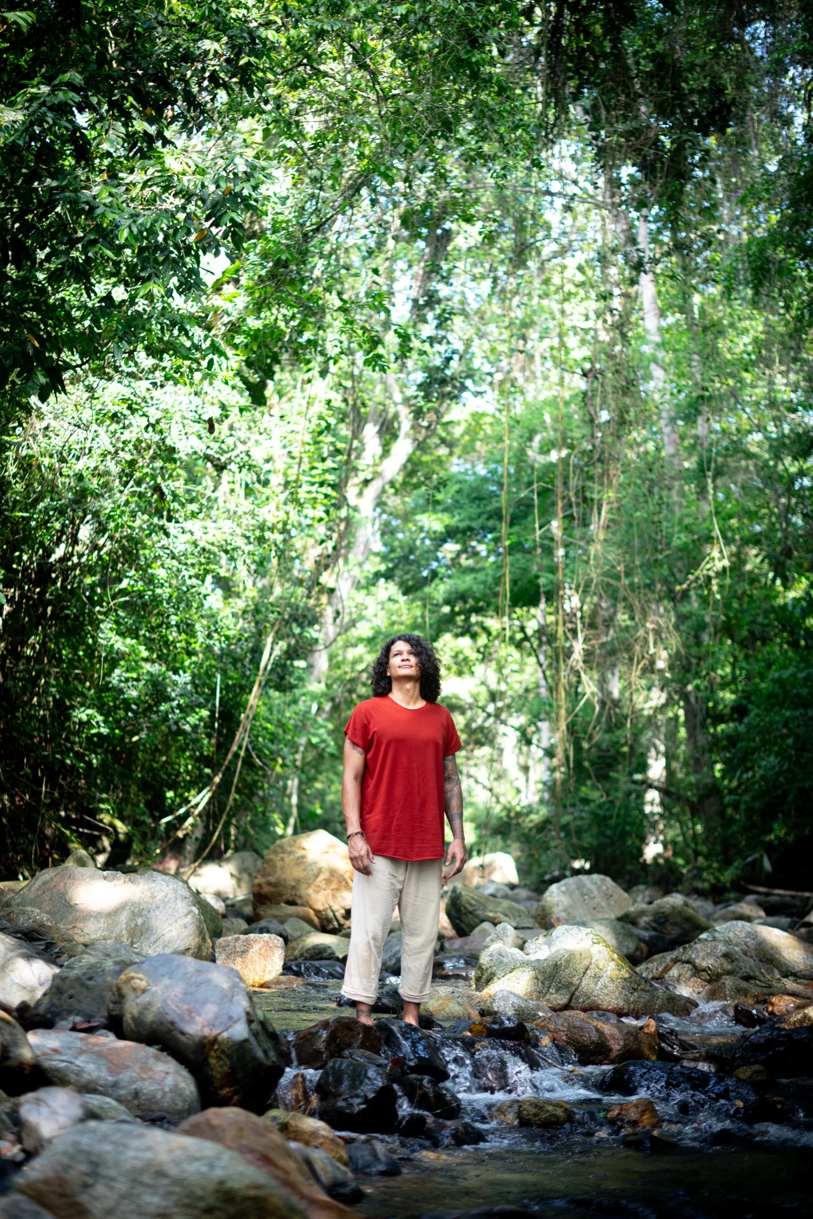 Selva, Tayrona